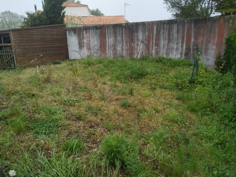 Ambiance Jardin Paysagiste La Roche Sur Yon 4 Avant